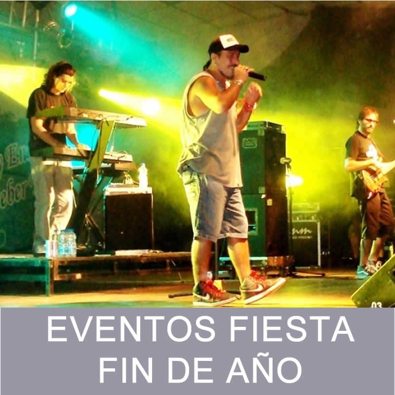 Fiesta de fin de año